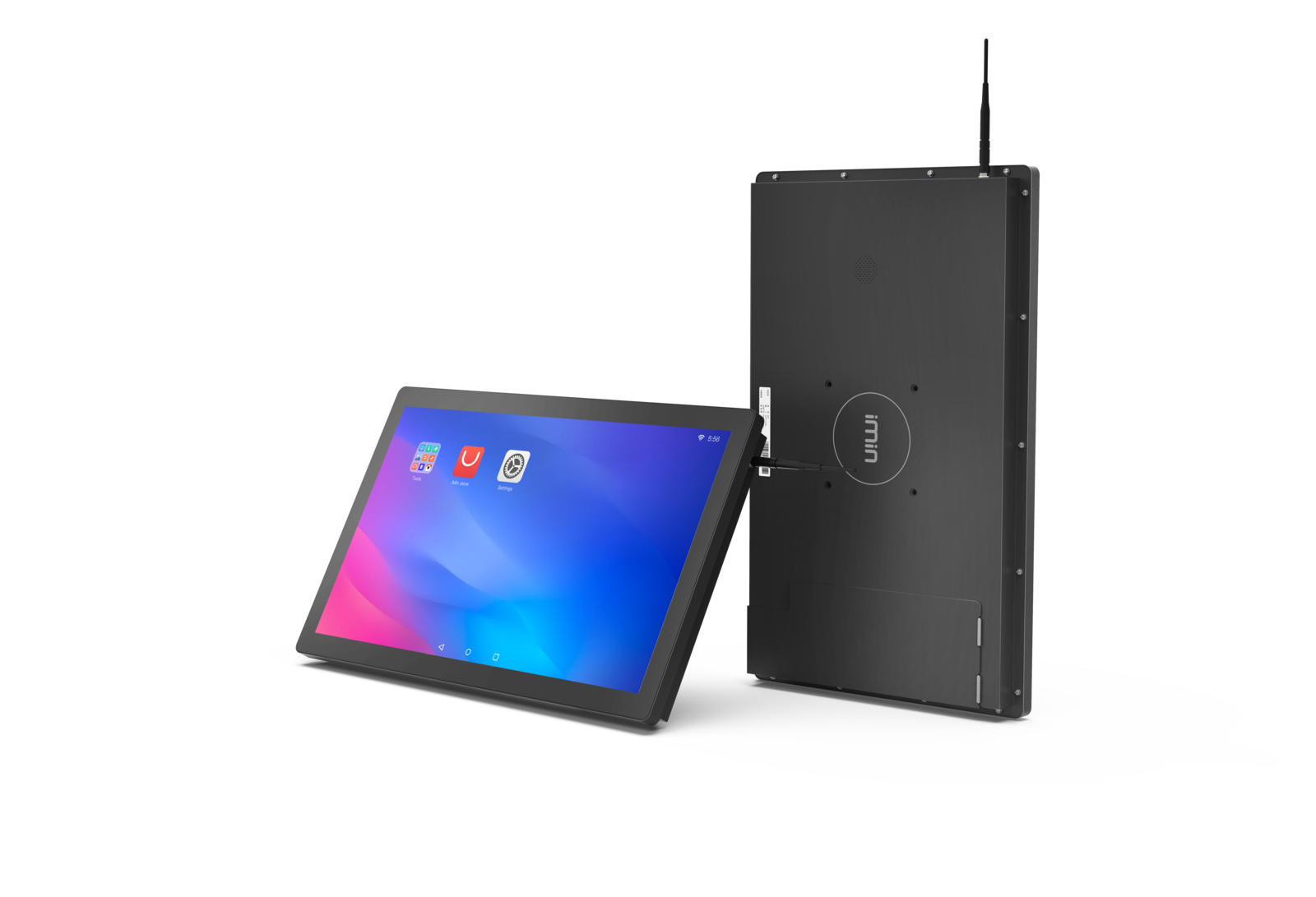 Organic Vegetable Box